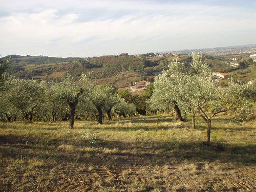Отель Agriturismo Il Cavallone
