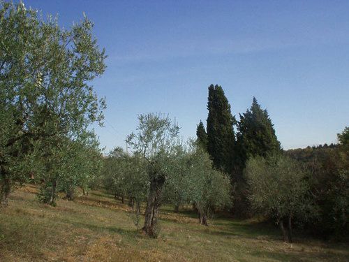 Отель Agriturismo Il Cavallone