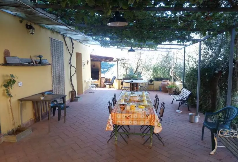 ホテル Agriturismo Il Cavallone