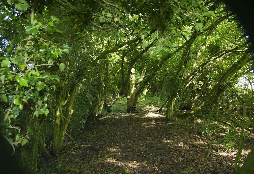 酒店 Oak Lodge Retreat