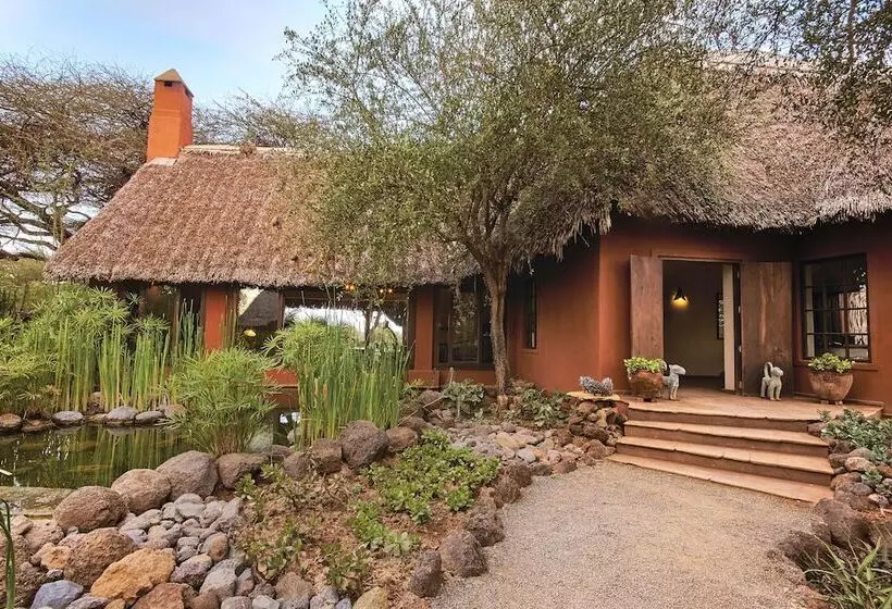 هتل Tawi Lodge
