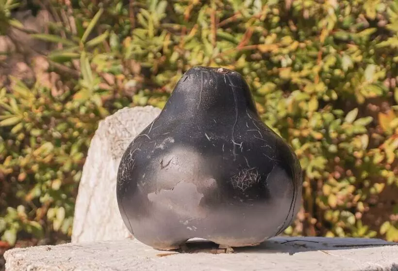 Hotelli Villa St Maxime