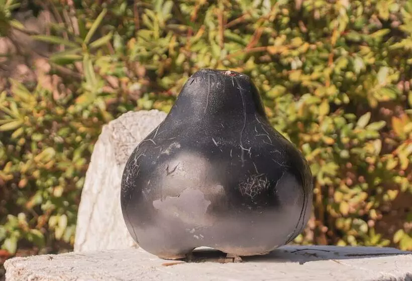 Hotelli Villa St Maxime