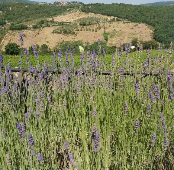 فندق Villa Vistarenni