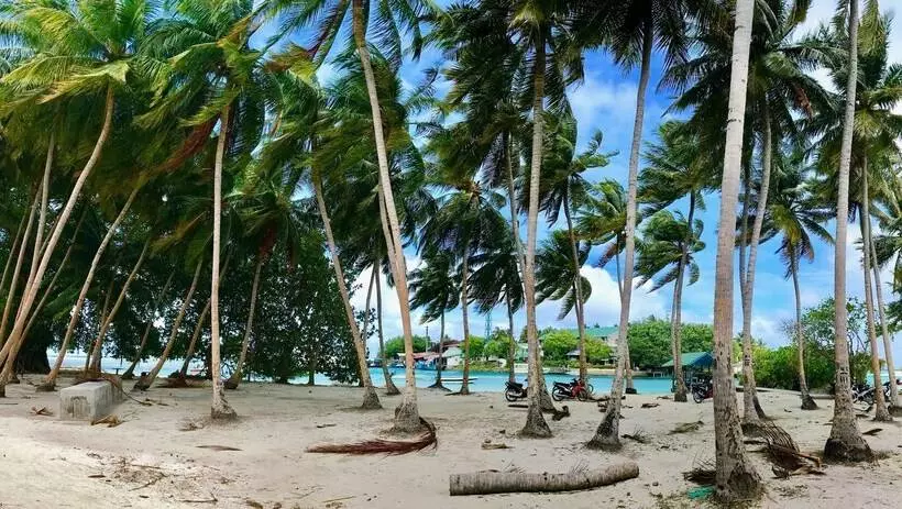 پانسیون Ocean Vibes Guesthouse