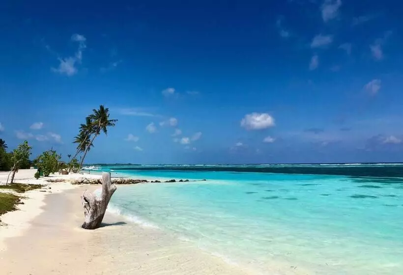 پانسیون Ocean Vibes Guesthouse