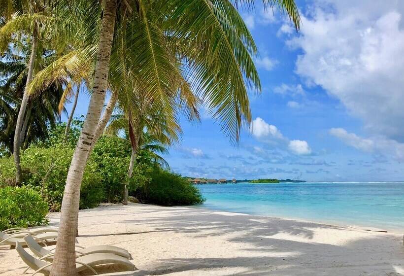 پانسیون Ocean Vibes Guesthouse