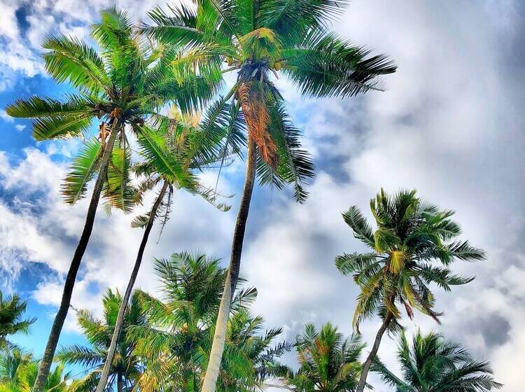 پانسیون Ocean Vibes Guesthouse