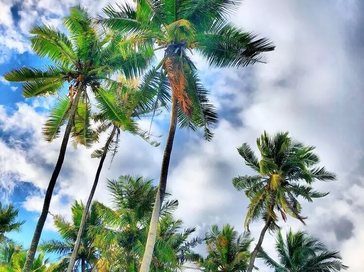 پانسیون Ocean Vibes Guesthouse