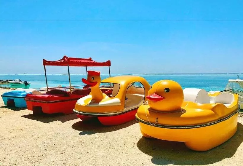 پانسیون Ocean Vibes Guesthouse