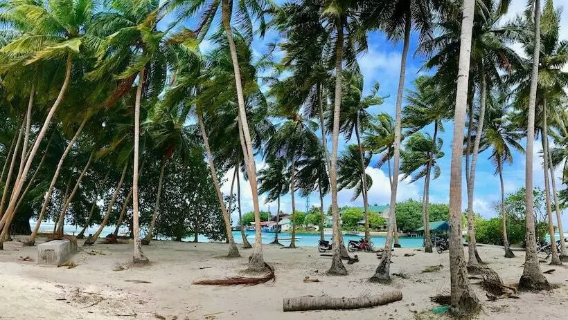 پانسیون Ocean Vibes Guesthouse