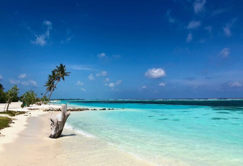 پانسیون Ocean Vibes Guesthouse