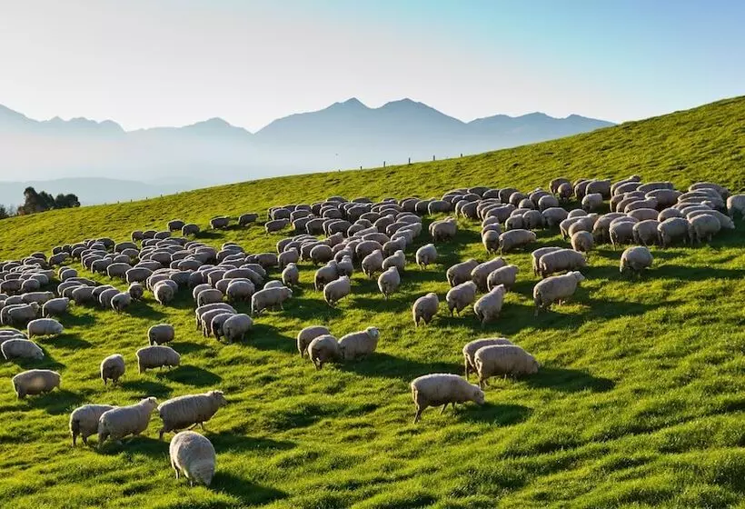 Aamiaismajoitus (B&B) Cabot Lodge