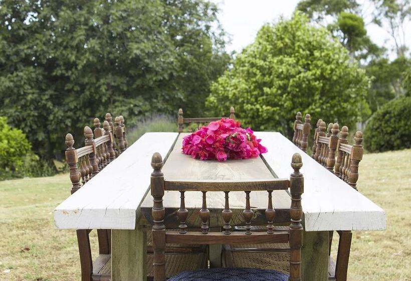 National Award Winner With Stunning View