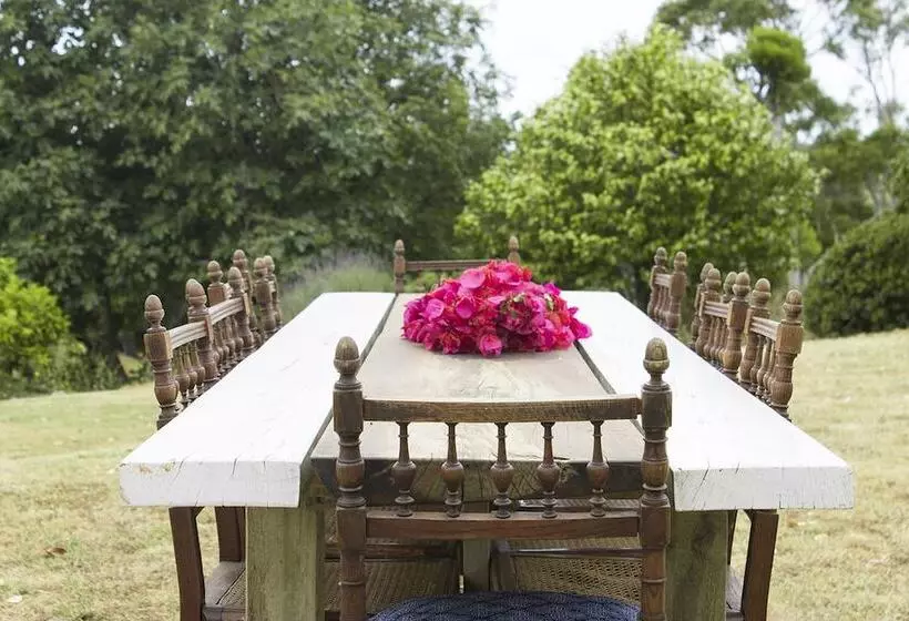 National Award Winner With Stunning View