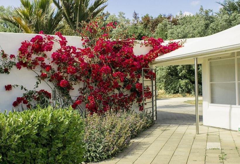 National Award Winner With Stunning View