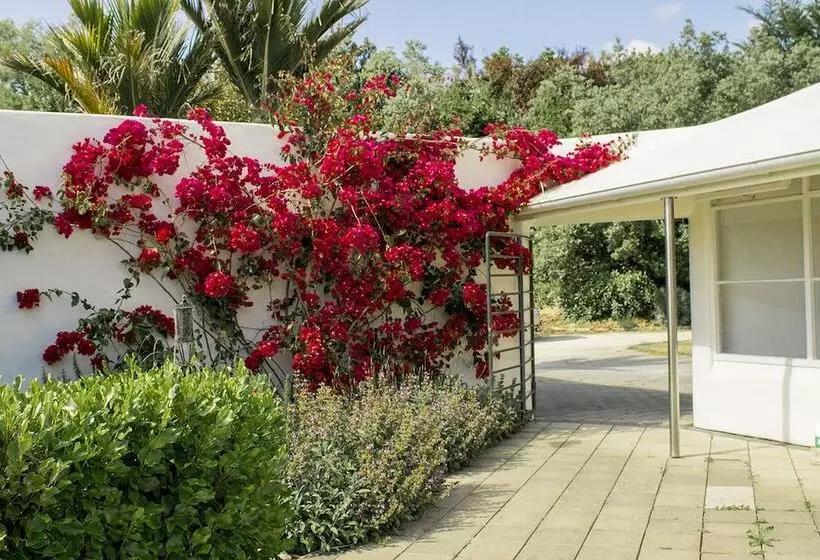 National Award Winner With Stunning View