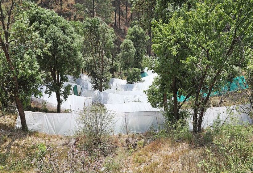 Oyo 13785 Home Boutique 2bhk Ramgarh Nainital