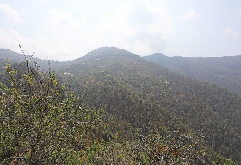 Oyo 13785 Home Boutique 2bhk Ramgarh Nainital