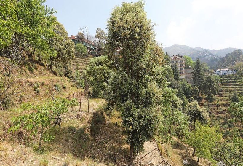 Oyo 13785 Home Boutique 2bhk Ramgarh Nainital