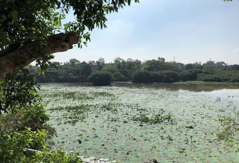 بنسيون Villa Attikka