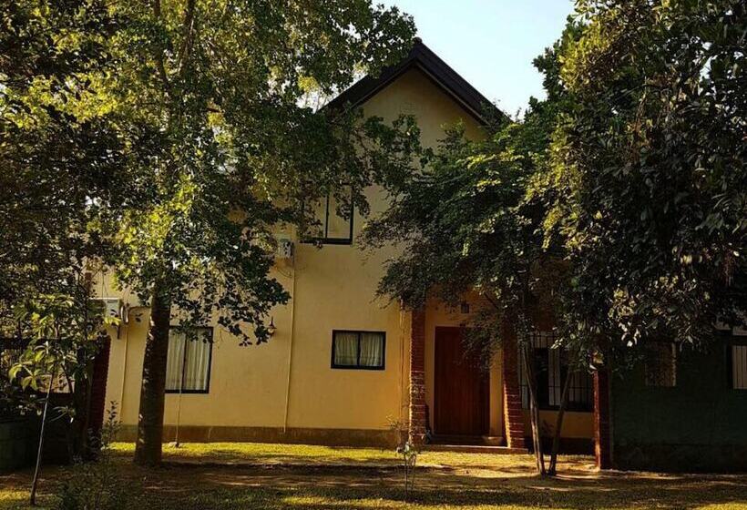 بنسيون Villa Attikka