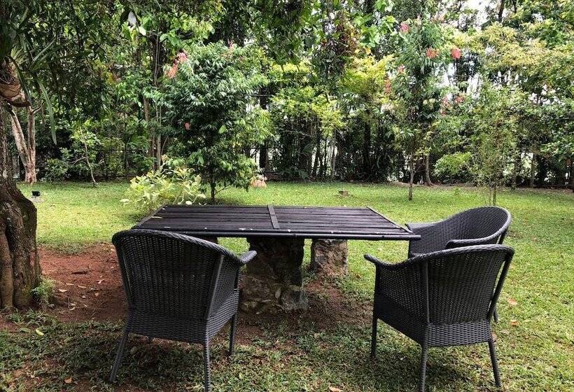 بنسيون Villa Attikka