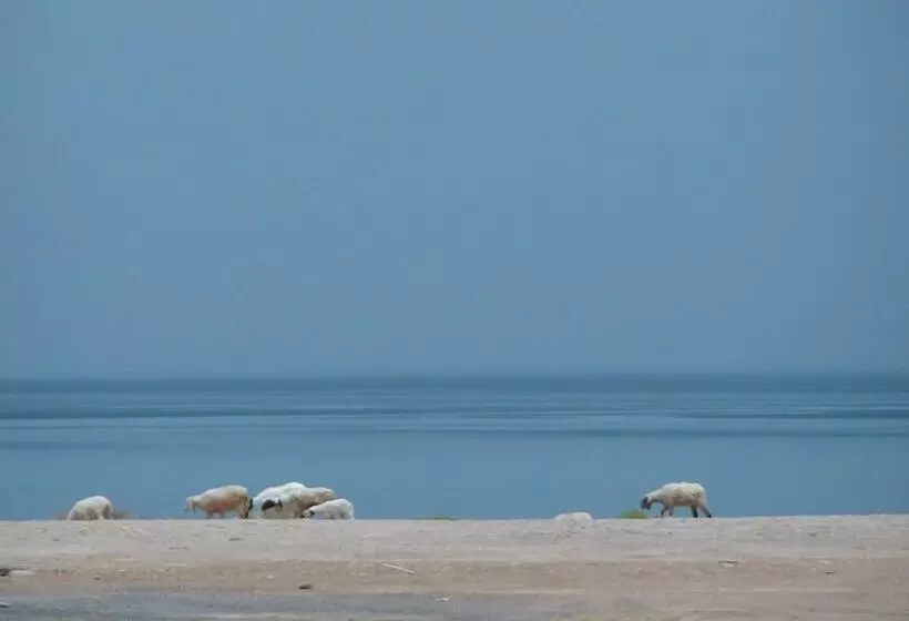 Al Basateen Hotel Apartment