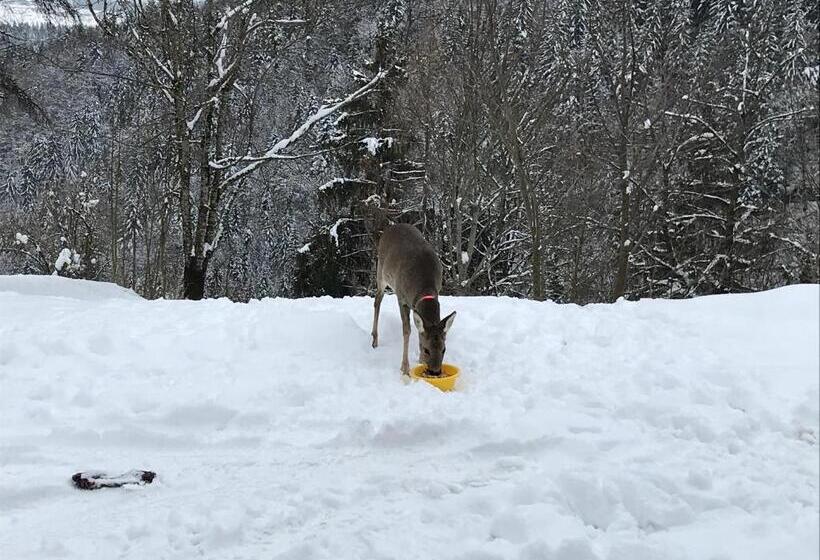 Ferienwohnung By Josef Lanzinger