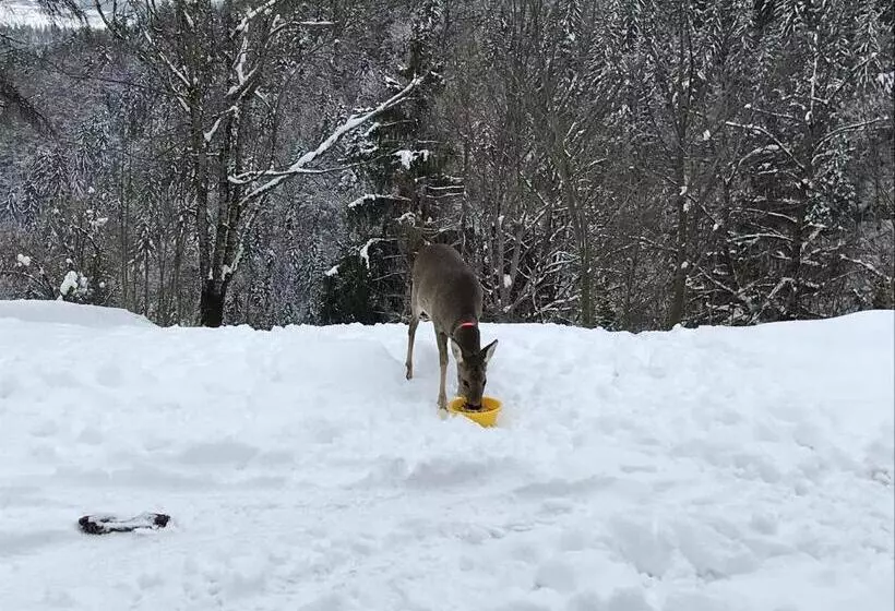 Ferienwohnung By Josef Lanzinger