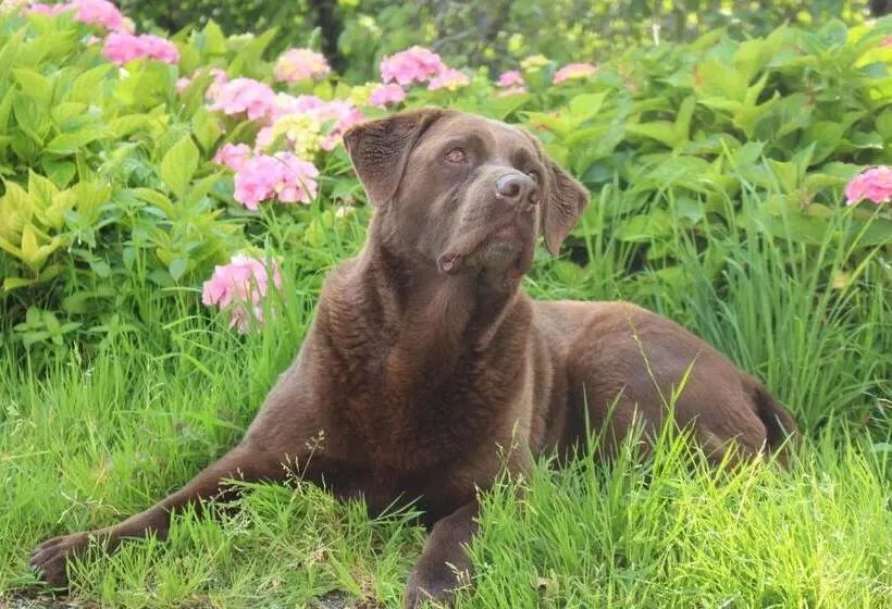 Ferienwohnung By Josef Lanzinger