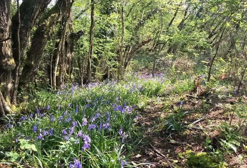 Holsworthy Holiday Cottages