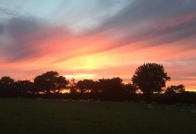 Holsworthy Holiday Cottages
