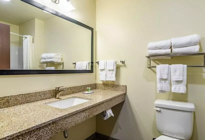 Hotelli Cobblestone Inn & Suites  Bridgeport