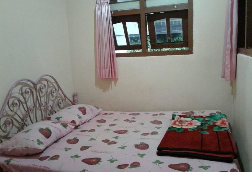 פנסיון Sahar Backpacker