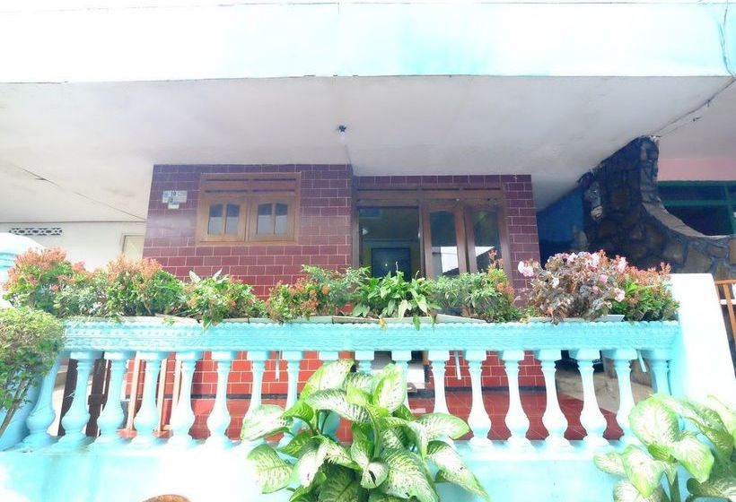 פנסיון Sahar Backpacker