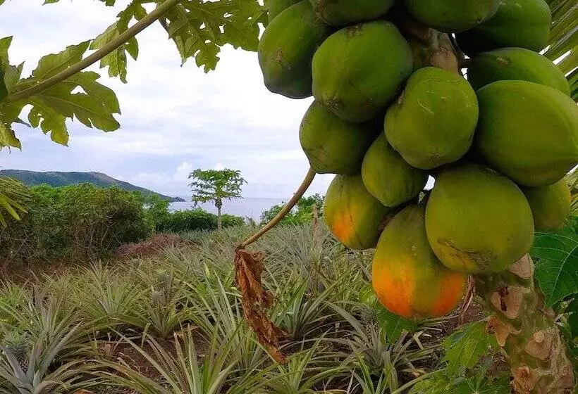 Majatalo Sunrise Lagoon Homestay
