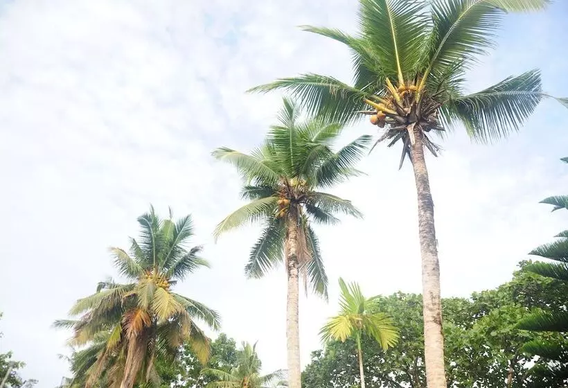 Shell Villa Apartel Resort