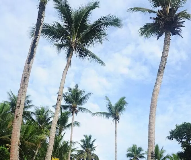 Shell Villa Apartel Resort