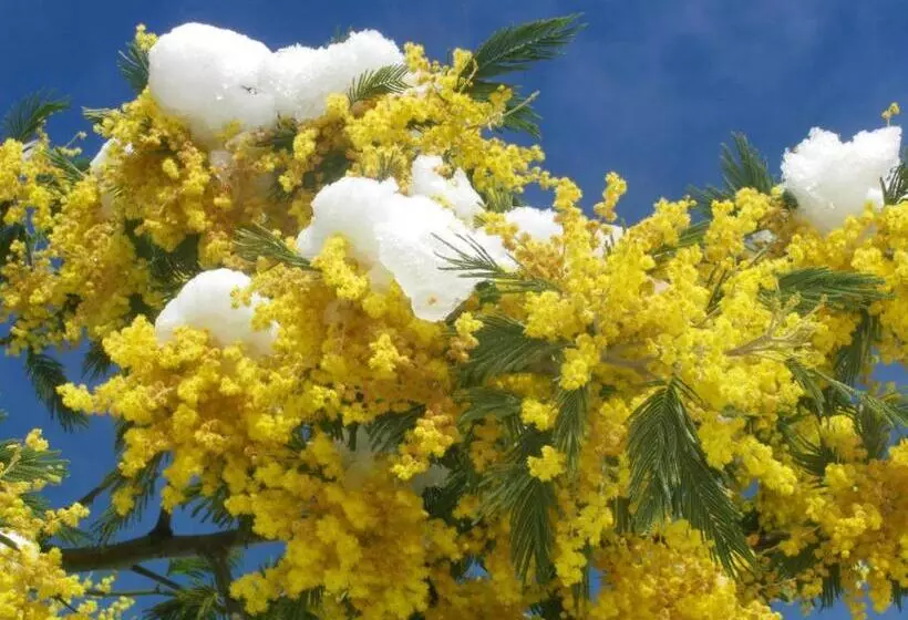 Aamiaismajoitus (B&B) A L'abri Des Vents