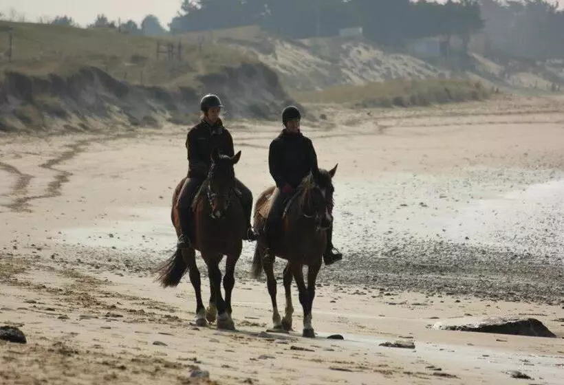 Aamiaismajoitus (B&B) A L'abri Des Vents
