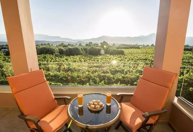 Cretan Vineyard Hill Villa Private Pool, Panoramic View, Beautiful Vineyard