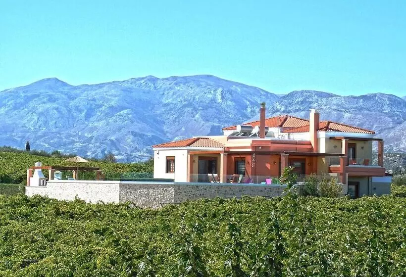 Cretan Vineyard Hill Villa Private Pool, Panoramic View, Beautiful Vineyard