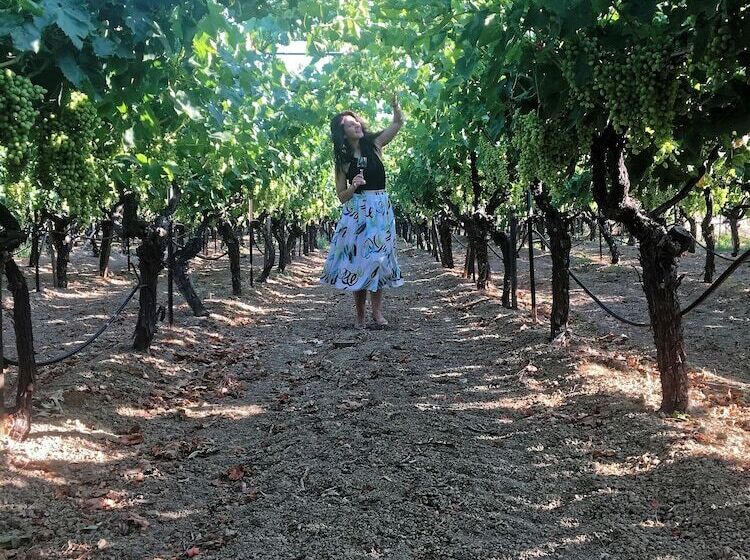 Cretan Vineyard Hill Villa Private Pool, Panoramic View, Beautiful Vineyard