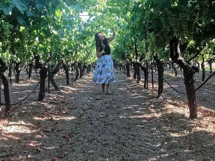 Cretan Vineyard Hill Villa Private Pool, Panoramic View, Beautiful Vineyard