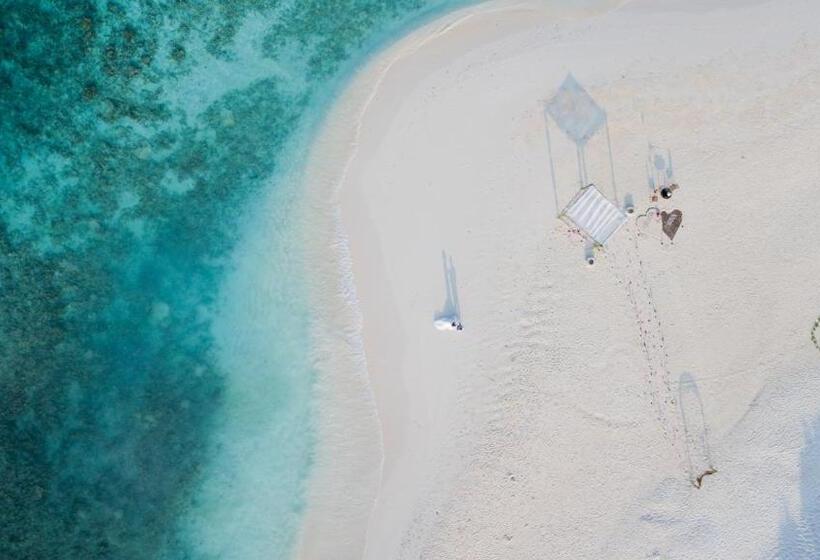 هتل Island Home Inn