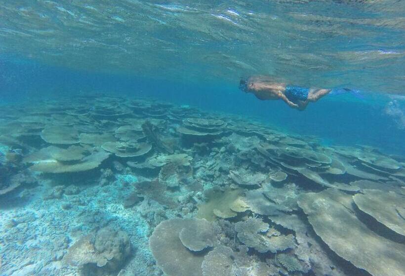 هتل Island Home Inn