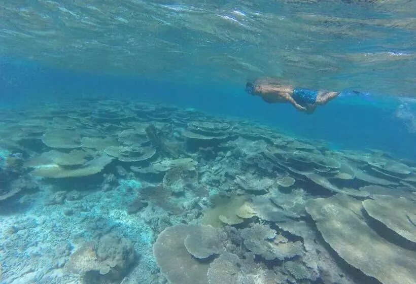 Hotelli Island Home Inn