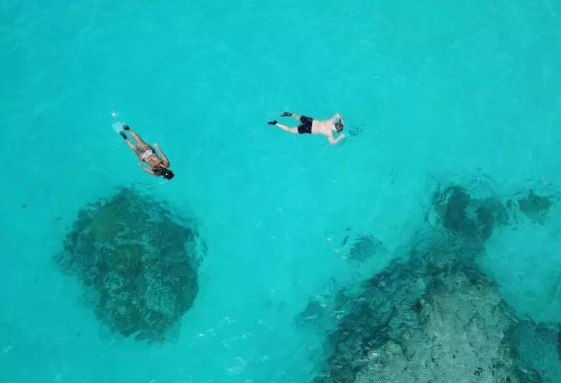 Hotelli Island Home Inn