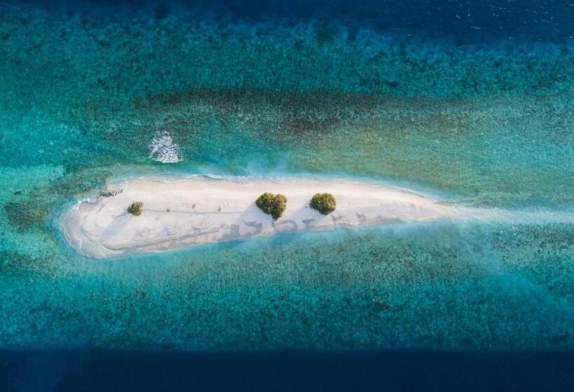 هتل Island Home Inn